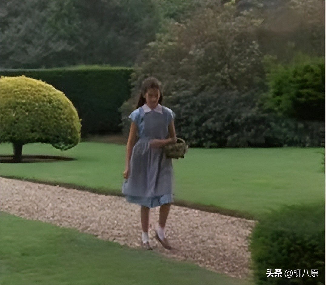 美国电影秘密花园内容,美国电影秘密花园内容简介