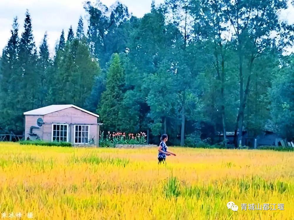 水灵妹旅行攻略,水灵妹旅游景点