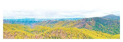 同绘美丽画卷共享生态福祉