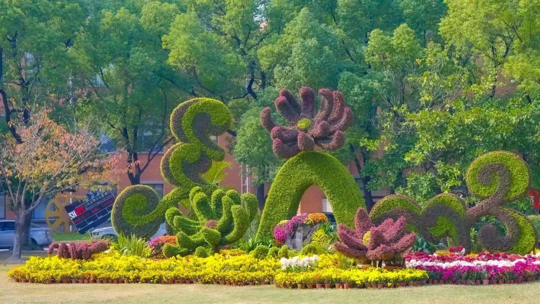 上海大学有机械专业吗,上海大学机械专业有哪些