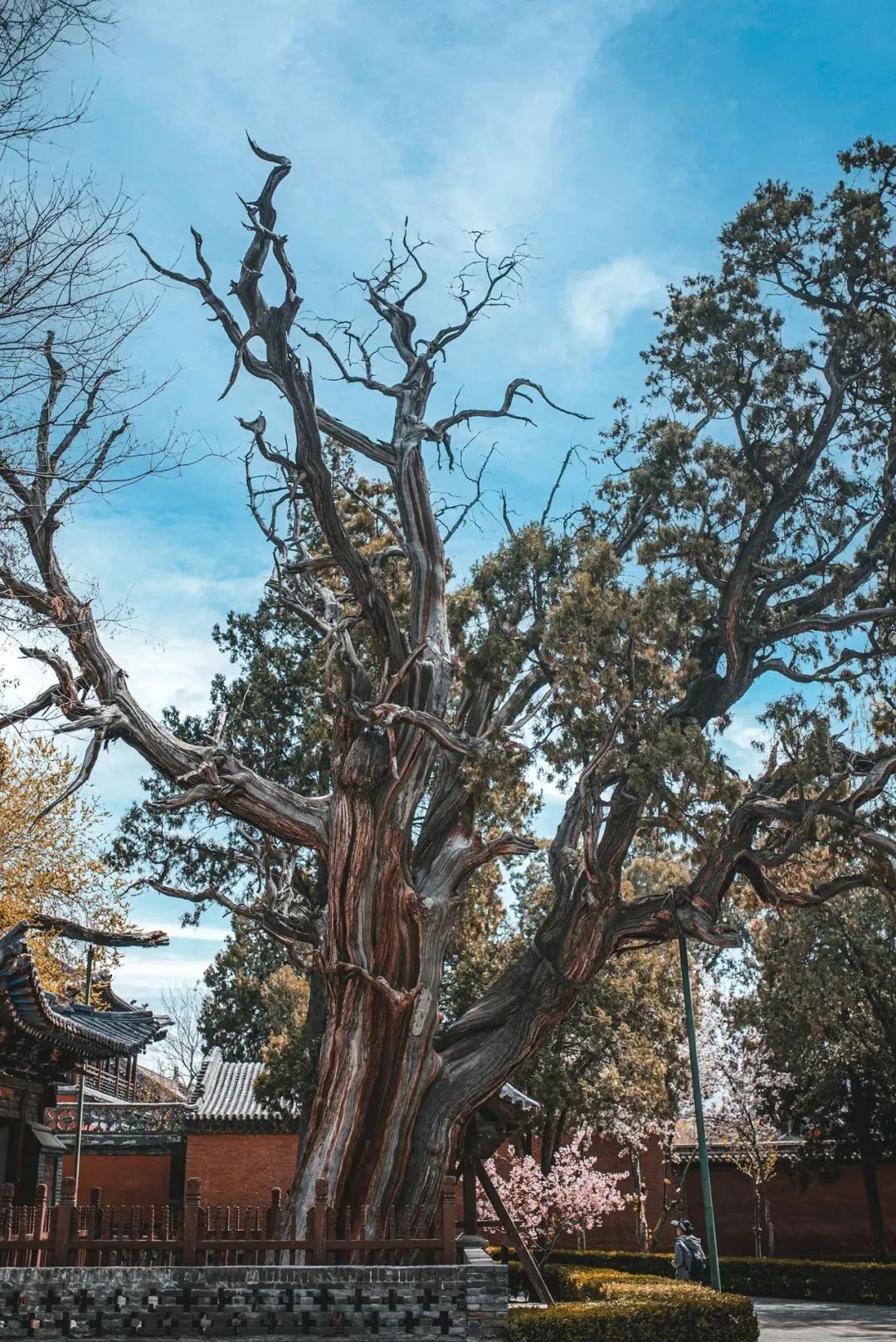 打卡太原古城,晋阳里能看到如梦晋阳表演吗