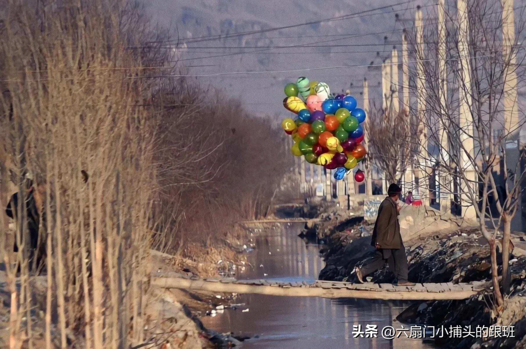 懂懂日记公众号,懂懂日记全集解说