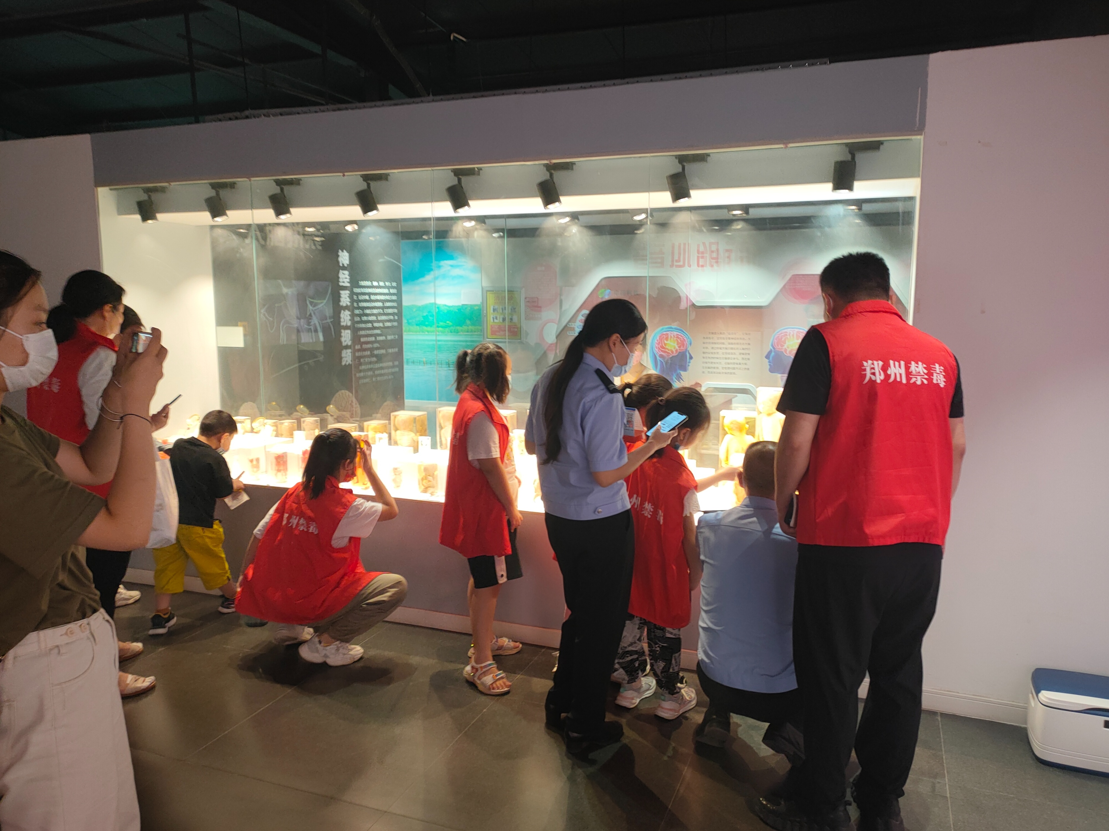 郑州博物馆讲解,郑州大鲵科普展馆