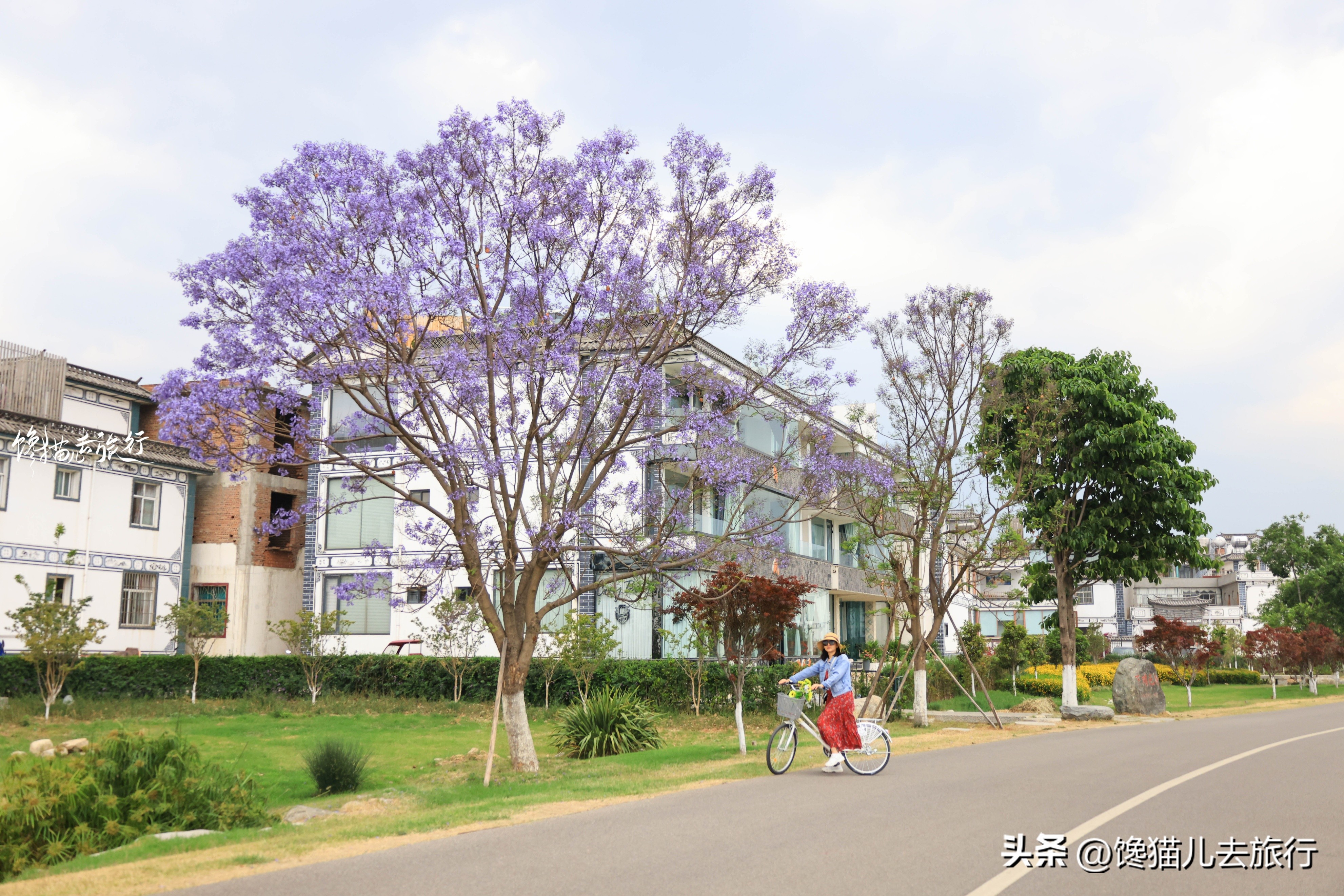 春节期间大理有哪些景点门票免费,大理免费景点一览表
