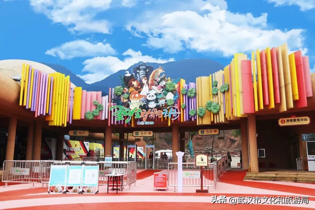 端午游攻略视频,端午出行攻略视频