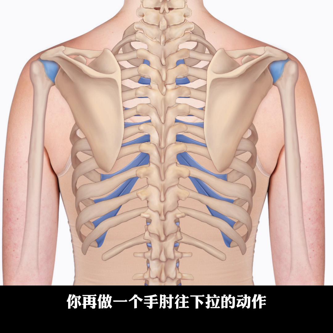 胳膊没劲儿，四柱做不到，教你一个退阶练习方法#瑜伽硕士