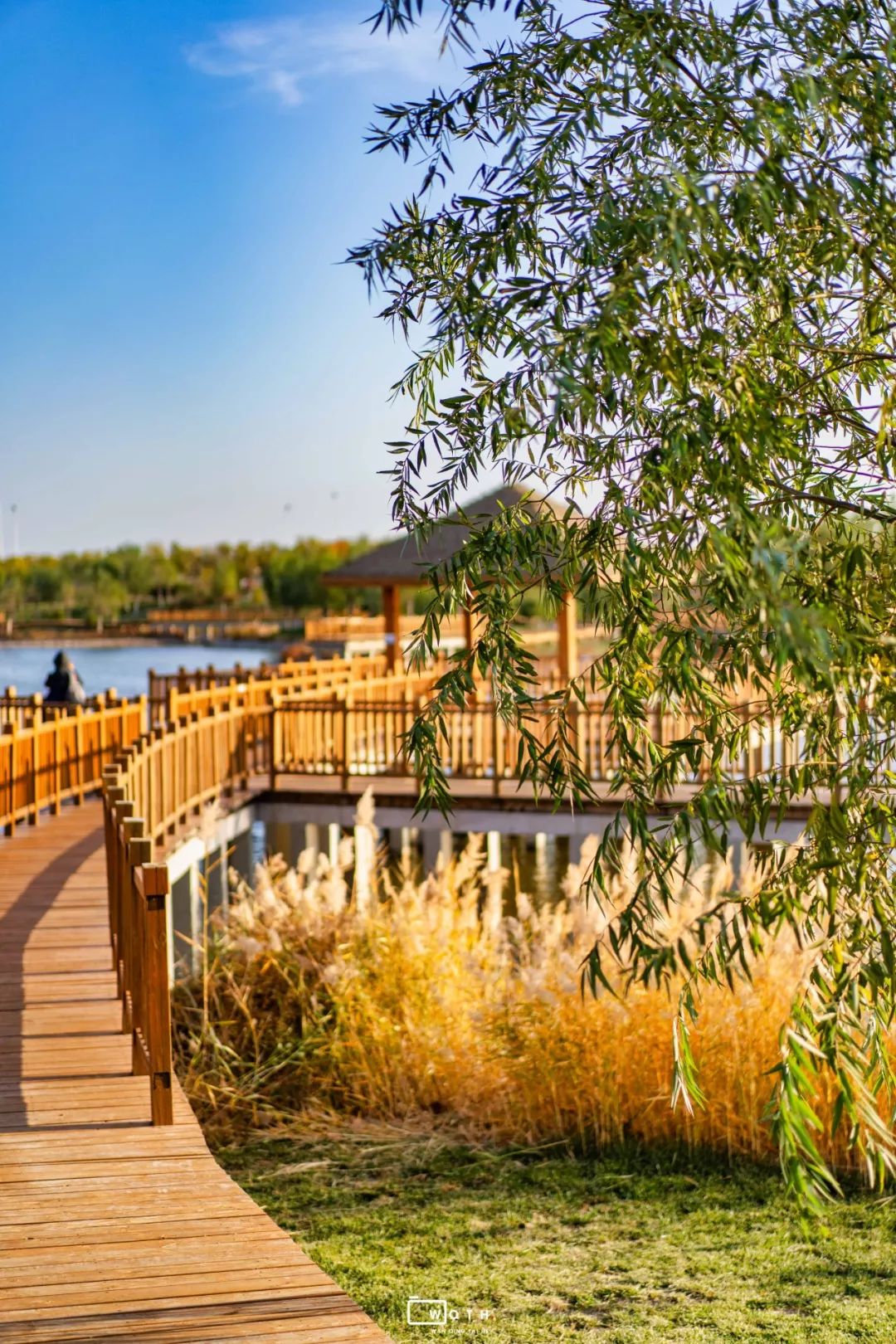 生态城城市公园,规划生态体育公园