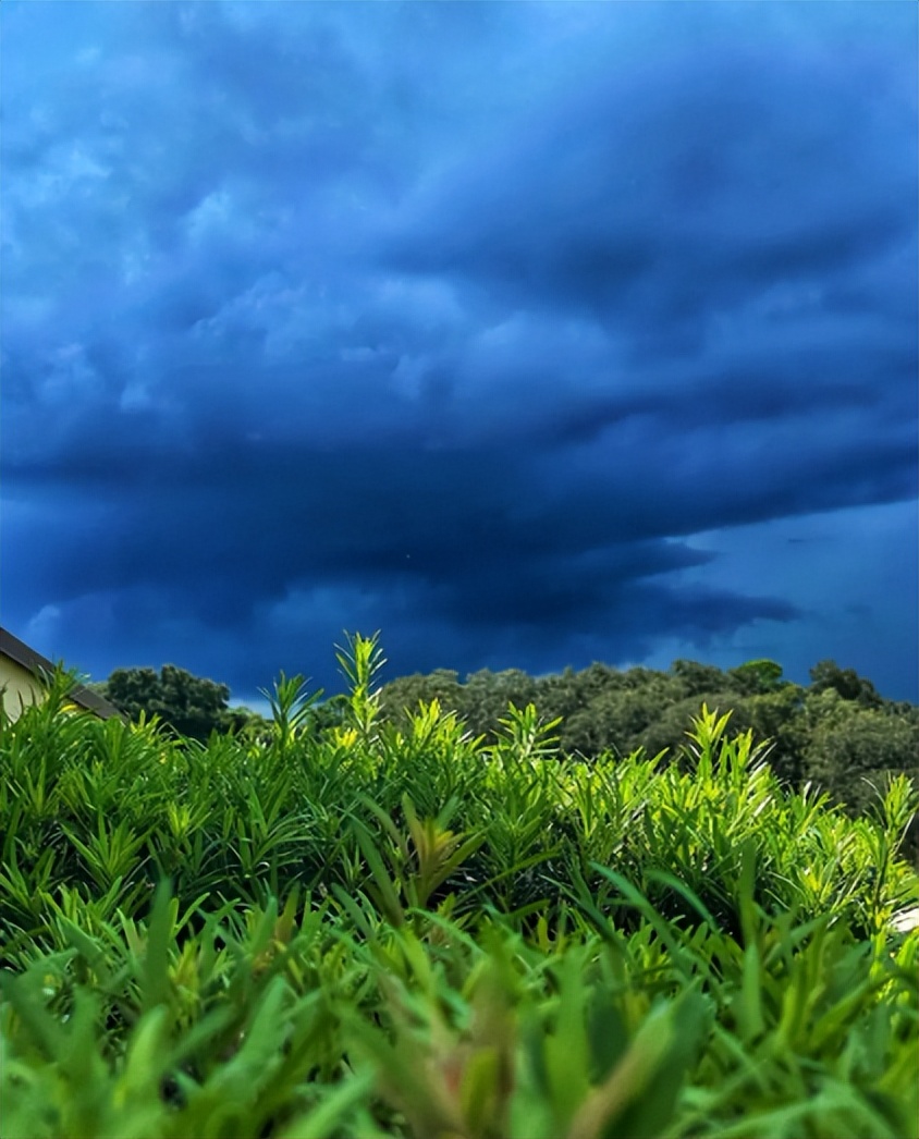 热带雨林是地球之肺教学视频,热带雨林是开发还是保护