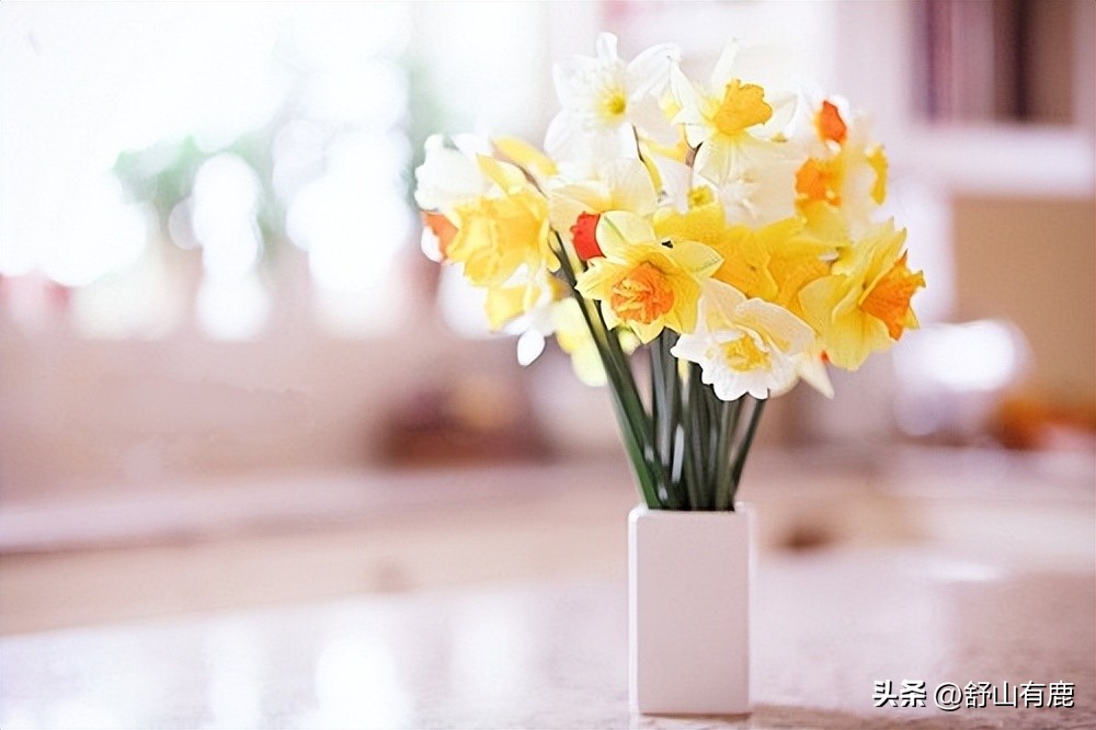 总是喜欢炫耀别人的人,老是喜欢显摆的人