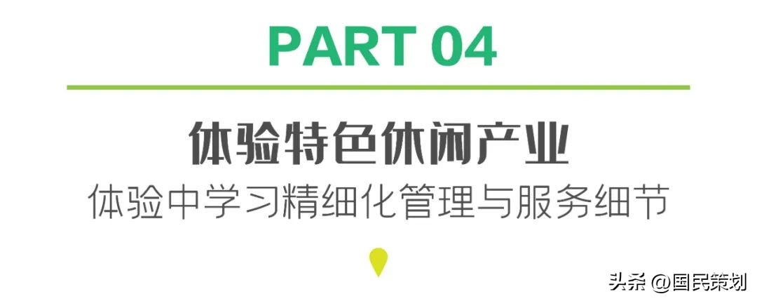 2024年清迈游学冬令营,泰国清迈有什么好项目
