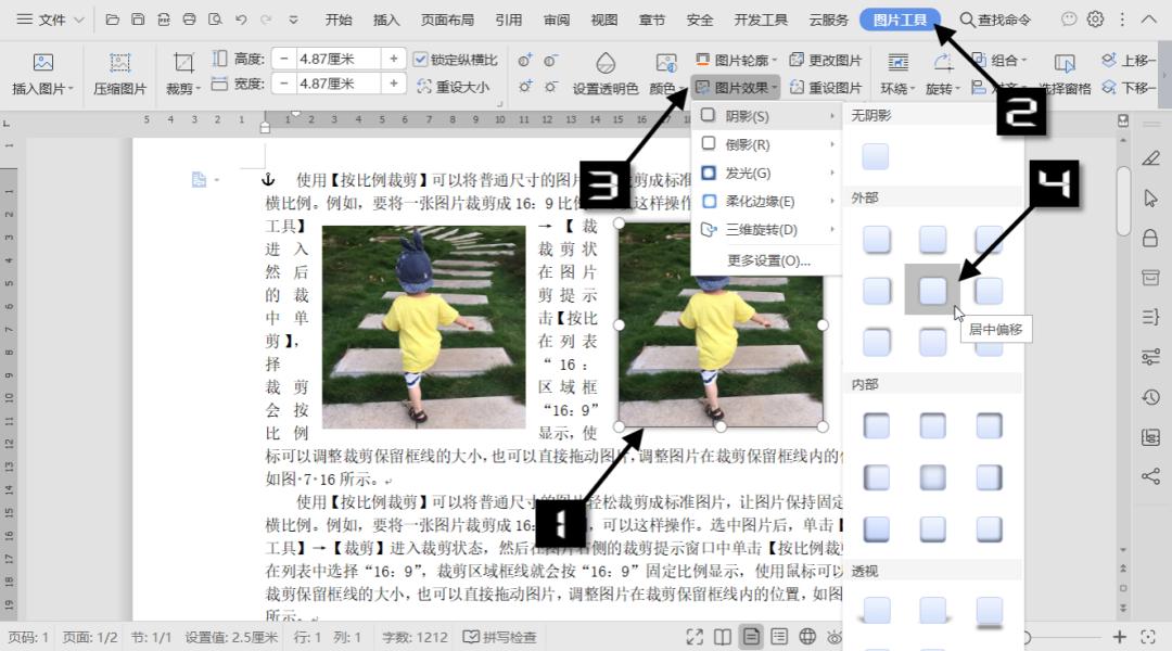WPS技巧：调整图片格式