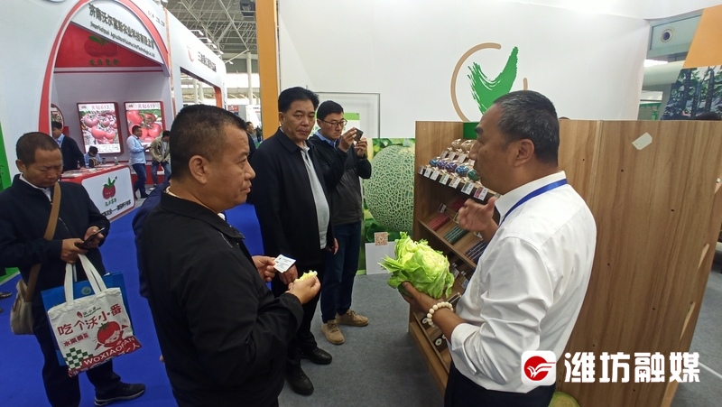 【潍观|菜博会24载“长红”，密码为你解锁】