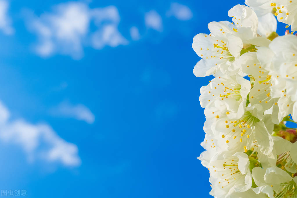 超实用的10个省钱小妙招,省钱技巧100个小妙招图文