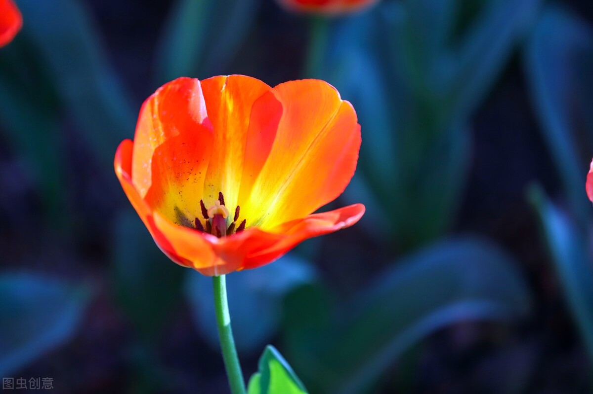微信聊天引发绑架,微信绑架了你的生活