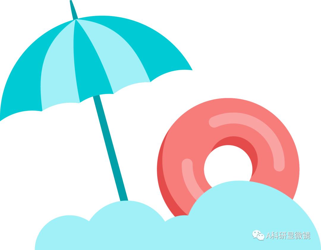 使用endnote卡顿,使用endnote迁移文件后乱码