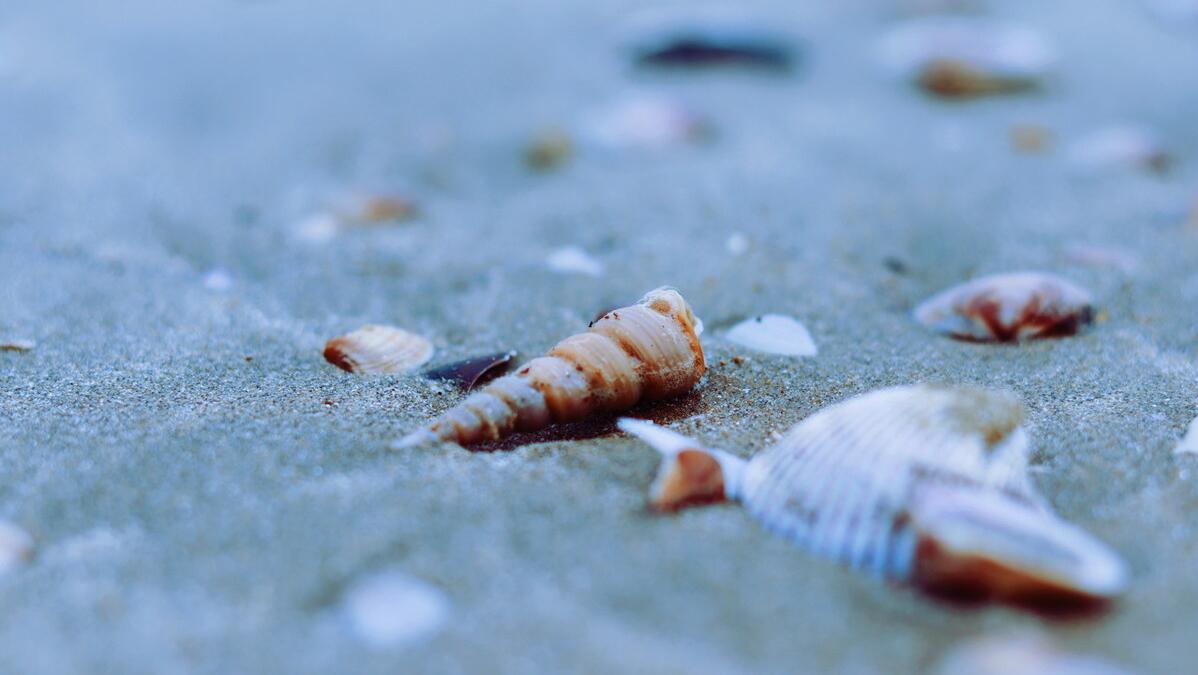 收到假包裹怎么投诉商家,收到假包裹