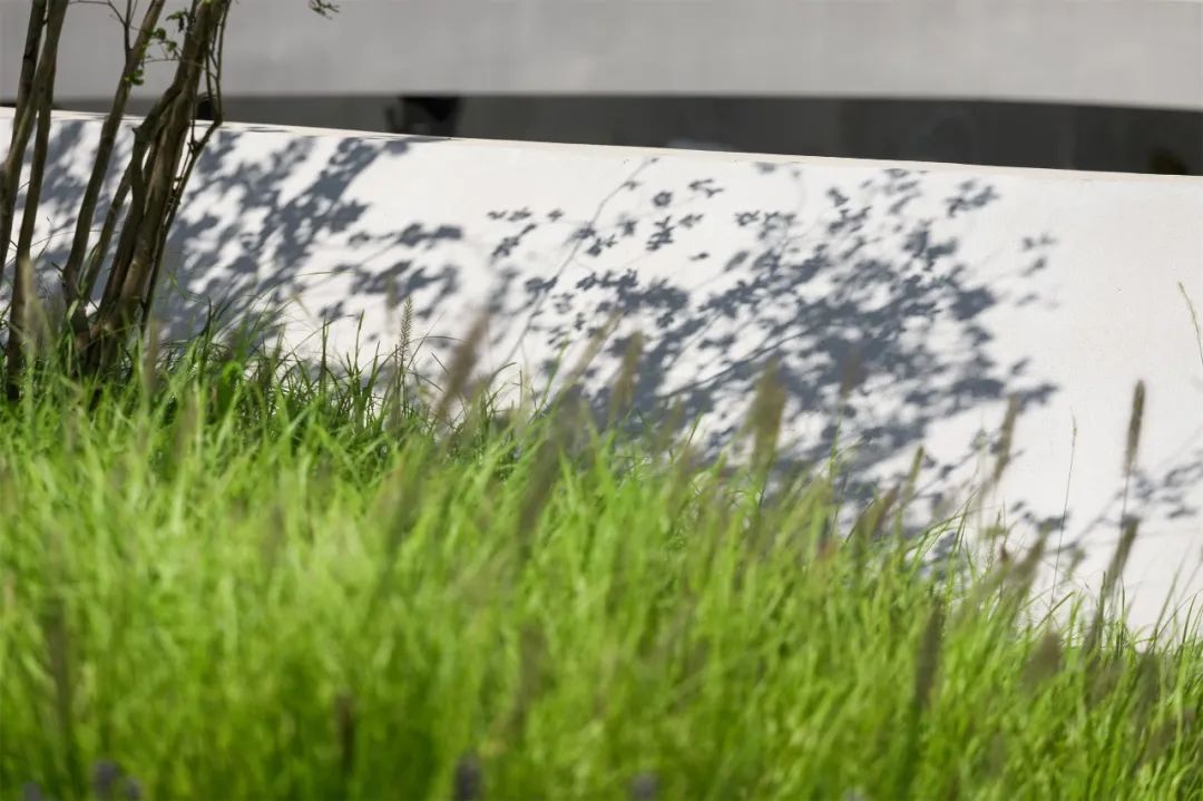 元亩塘公园景观设计,高端公园绿化景观设计