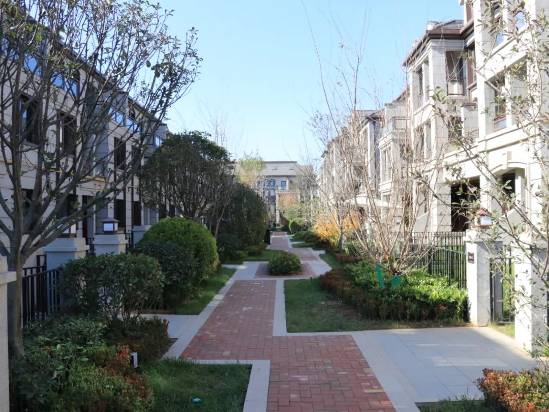 如何让小院活起来,如何让小院变得精致