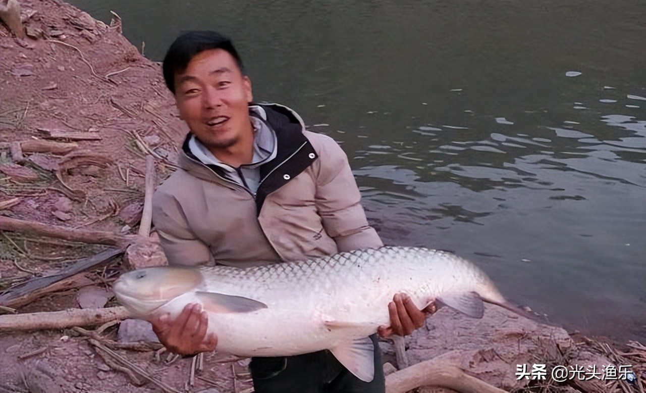 十大淡水超大型鱼类,十大大型淡水鱼类