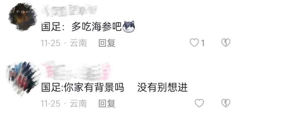 世界杯护旗手,2022年世界杯护旗手