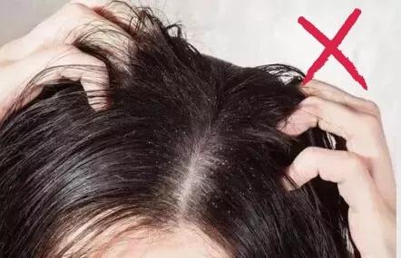 一份健康饮食食谱清单,一份健康的减肥食谱