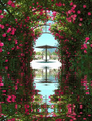 分享一束花图片,分享照片愿你遇到的都是美好