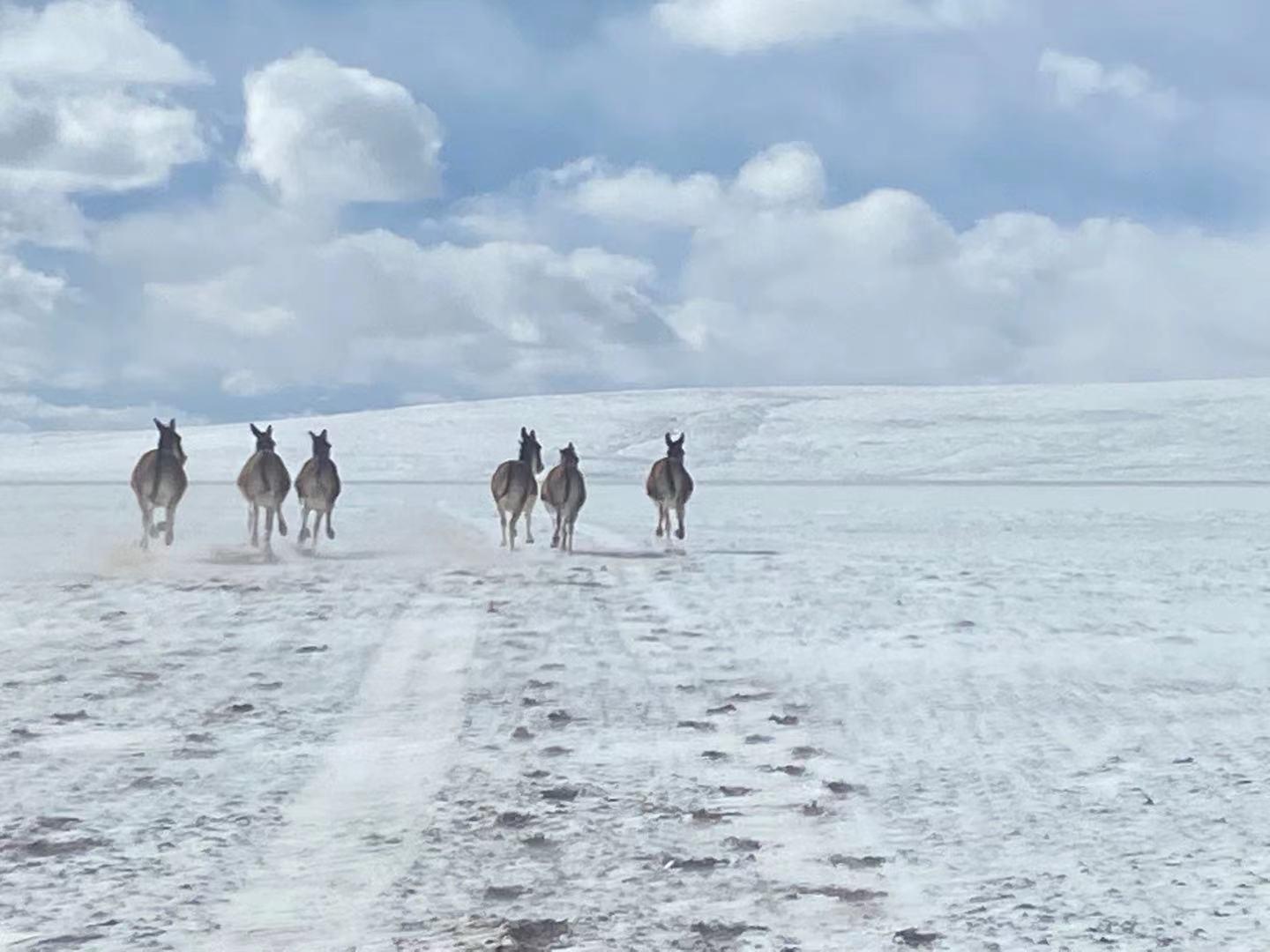 穿越无人区准备物资,自驾穿越无人区需要准备哪些东西