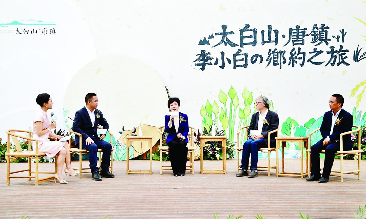 天朗董事长孙茵打造民宿,天朗孙茵创业经历