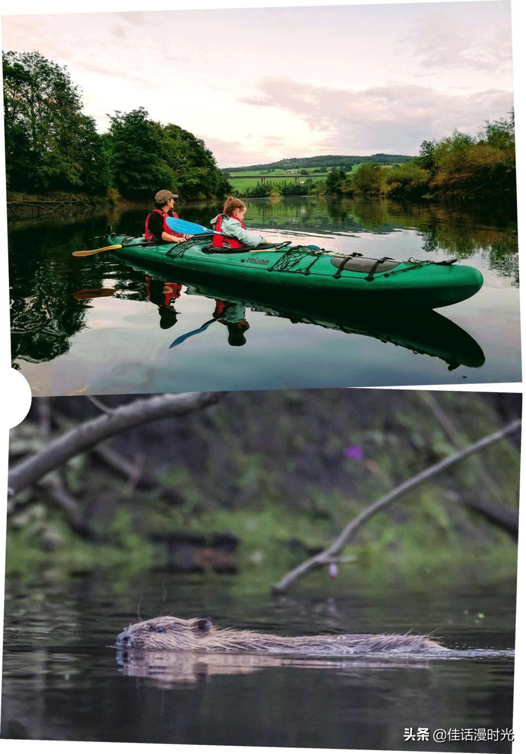 珀斯印象|拿什么来形容你，苏格兰最新的老城
