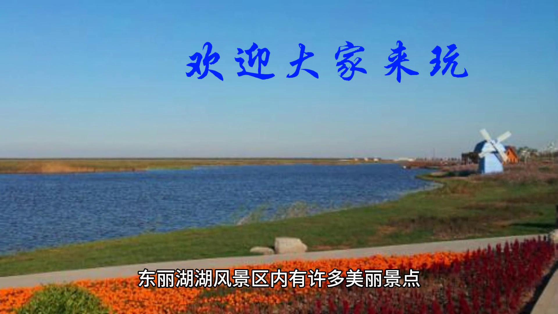 东丽湖最近新消息,东丽湖风景区