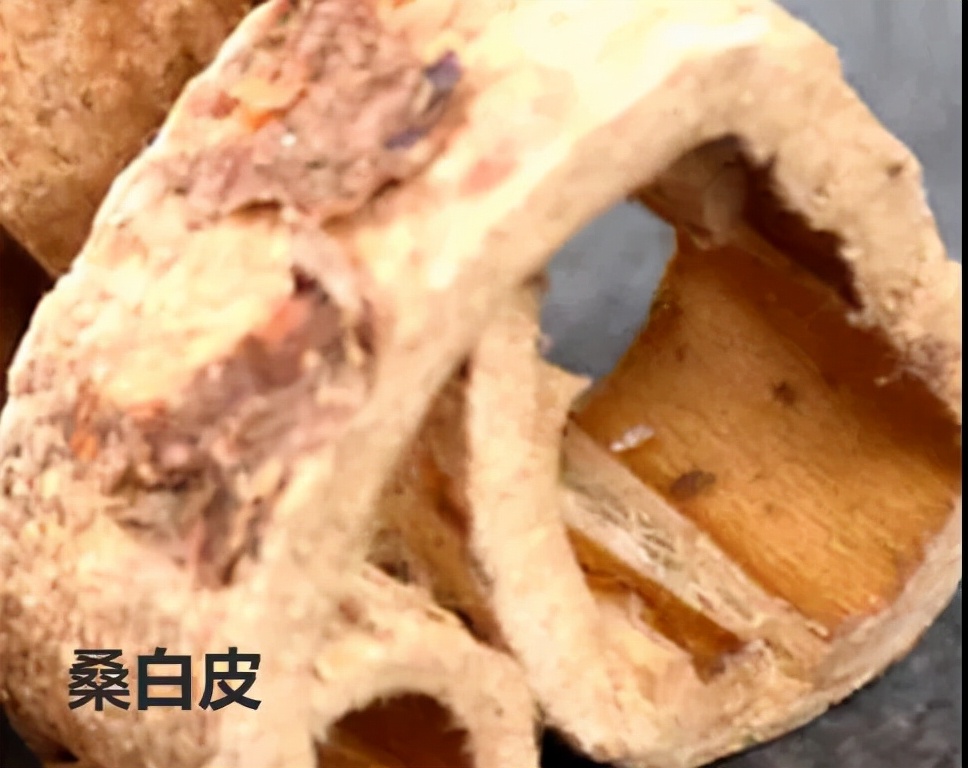 每日一味药桑白皮,与桑白皮有关的中药配方