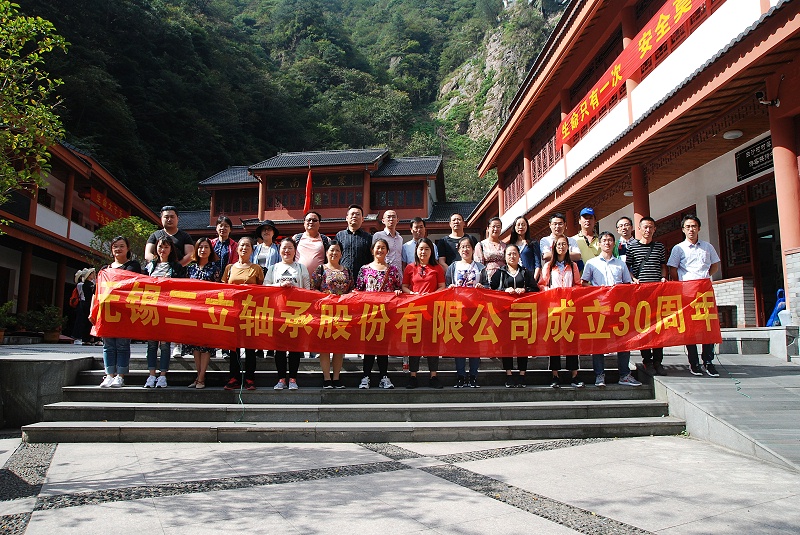 国产轴承和进口轴承有多大差距,国产轴承和进口轴承有什么区别