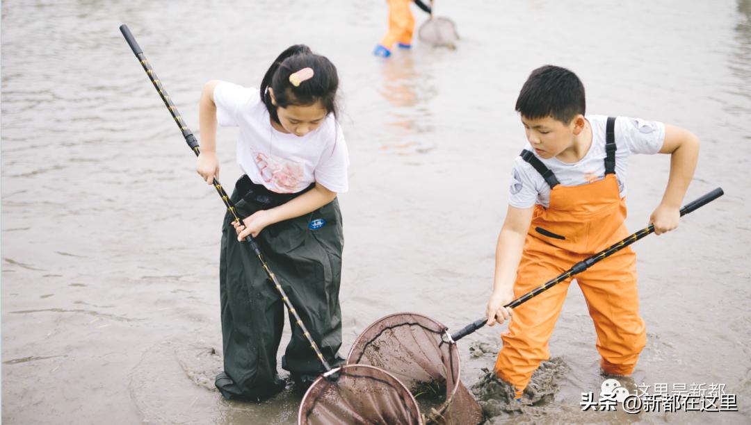 端午节来成都,成都端午节有什么讲究