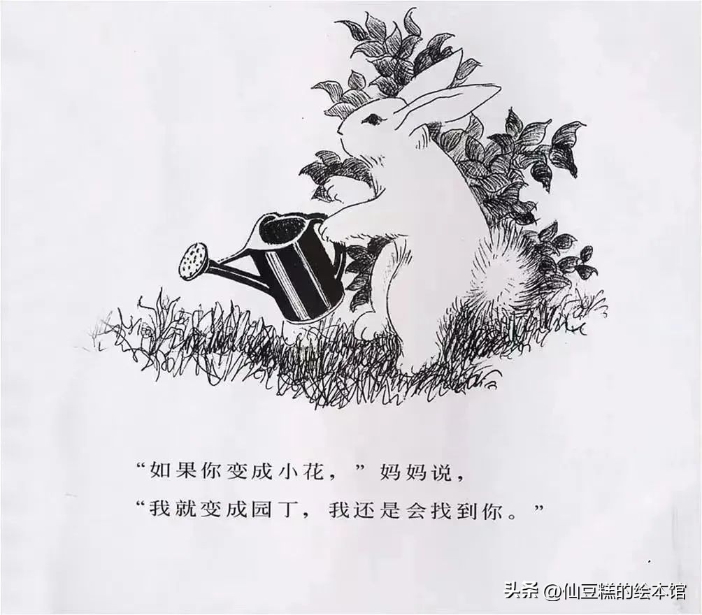 绘本阅读成长路上的陪伴,绘本推荐3-6岁绘本故事亲情