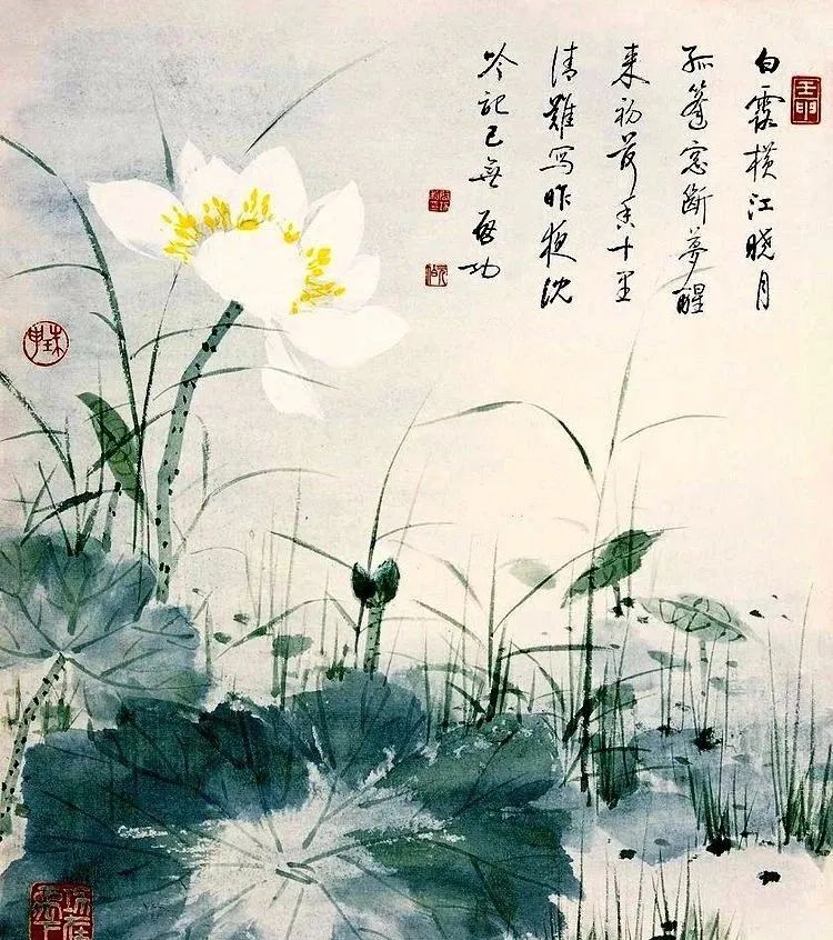 启功荷花作品欣赏,启功《荷上花帖》