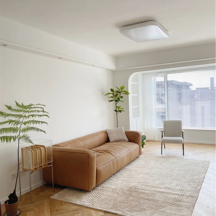 刷了一遍腻子长毛了怎么处理,腻子长毛晾干了就可以了吗