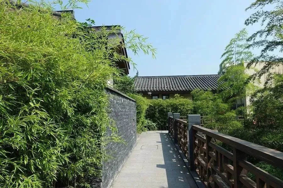 2020五一峨眉山开放的景点,五一峨眉山旅游攻略