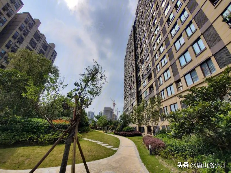 奉贤vs嘉定,奉贤vs青浦足球