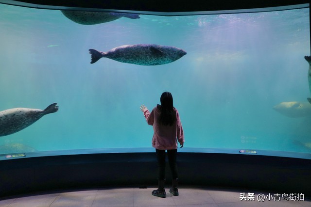 青岛西海岸旅游攻略最佳线路,从青岛出发4-5天旅游攻略