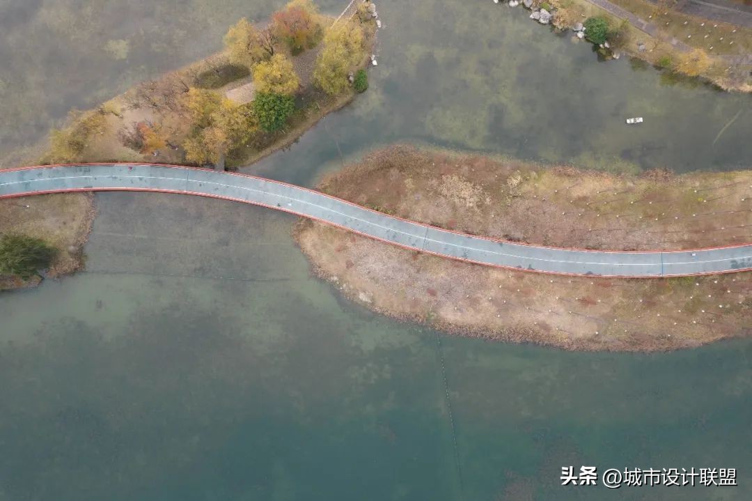 成都值得一游的公园,夏季成都宝藏公园