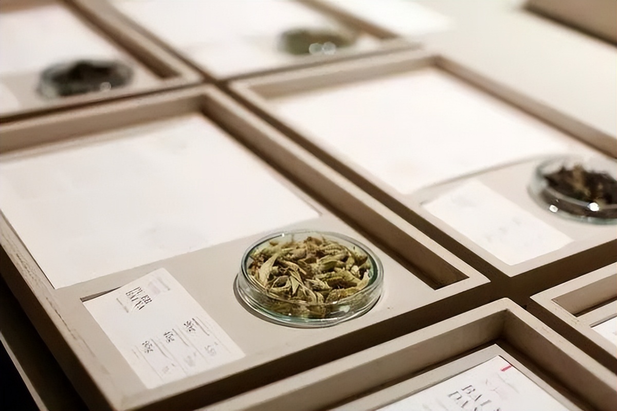 文圣茶说丨德国PaperTea茶叶店