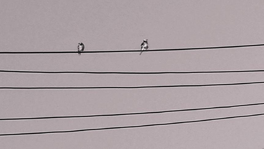 十一月云南旅游攻略腾冲 (从云南腾冲看云南旅游攻略)