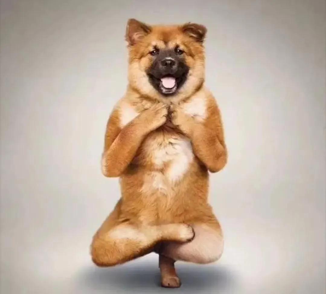 回族不吃猪肉，满族不吃狗肉，古代汉族也有不吃的肉