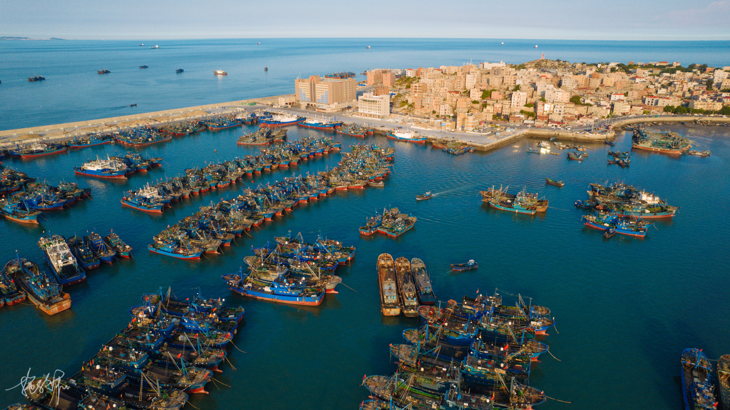 我的2022年度报告,我的2022原版