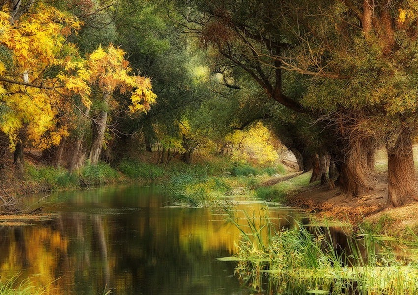 春色已随莺度岭，秋光空映月侵闺