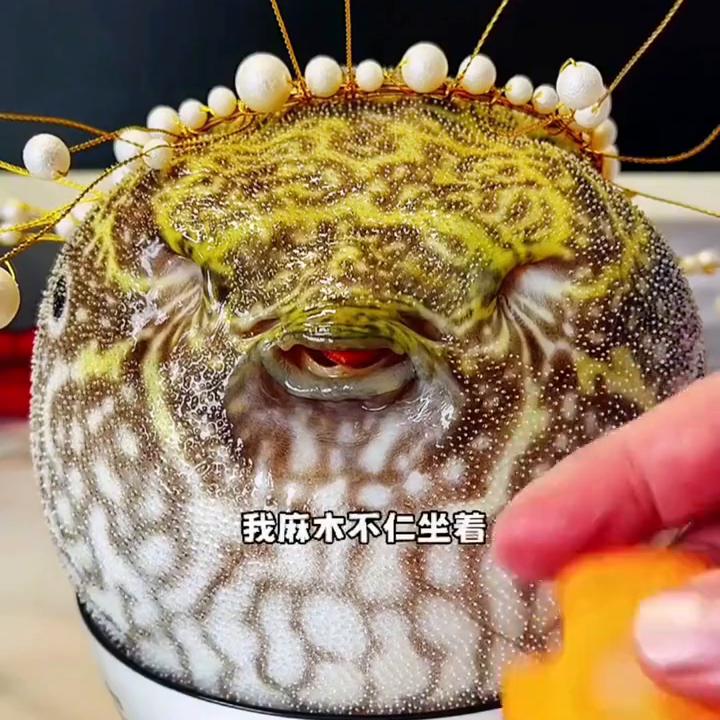 点击蓝色链接直接看原文#爱自己100种方式