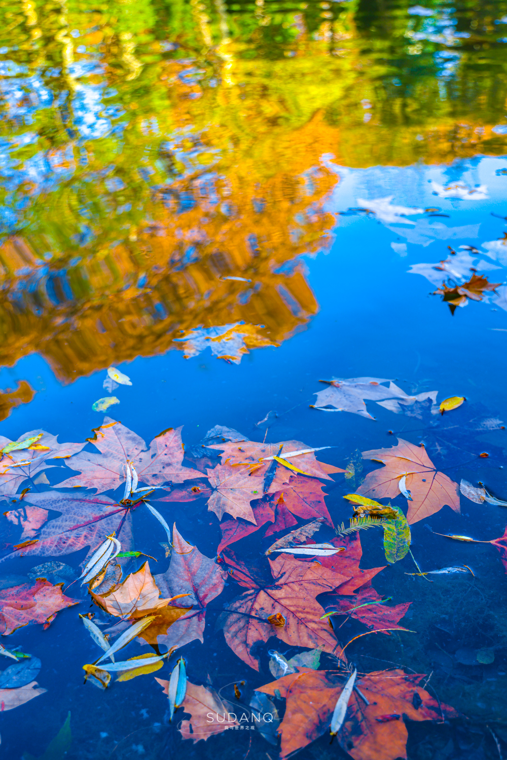 大自然塑造了我,大自然塑造者