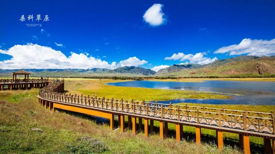 出发西北游,去西北旅行吧