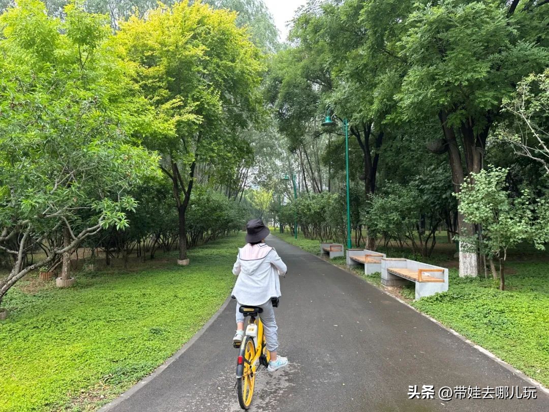 可搭帐篷公园,可以骑车搭帐篷的公园