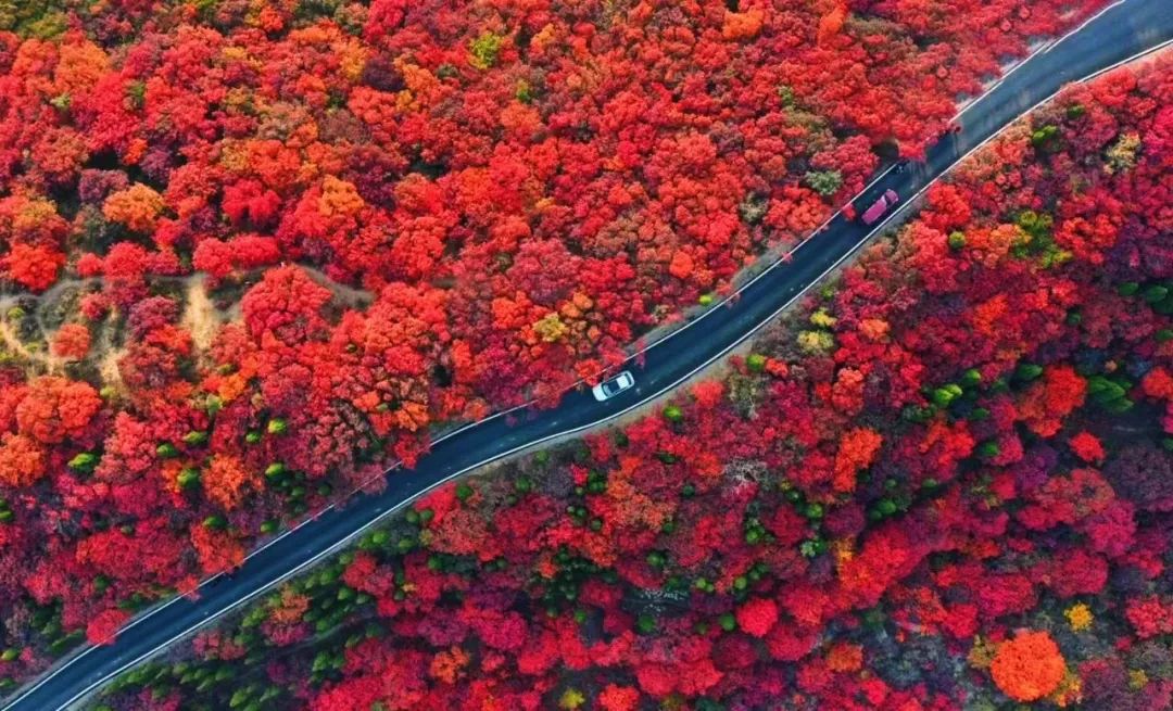 沂蒙乡村振兴学习感悟,乡村振兴看沂蒙专题